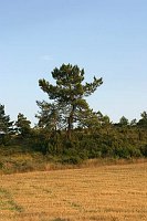 enpaja_096_RT8.jpg